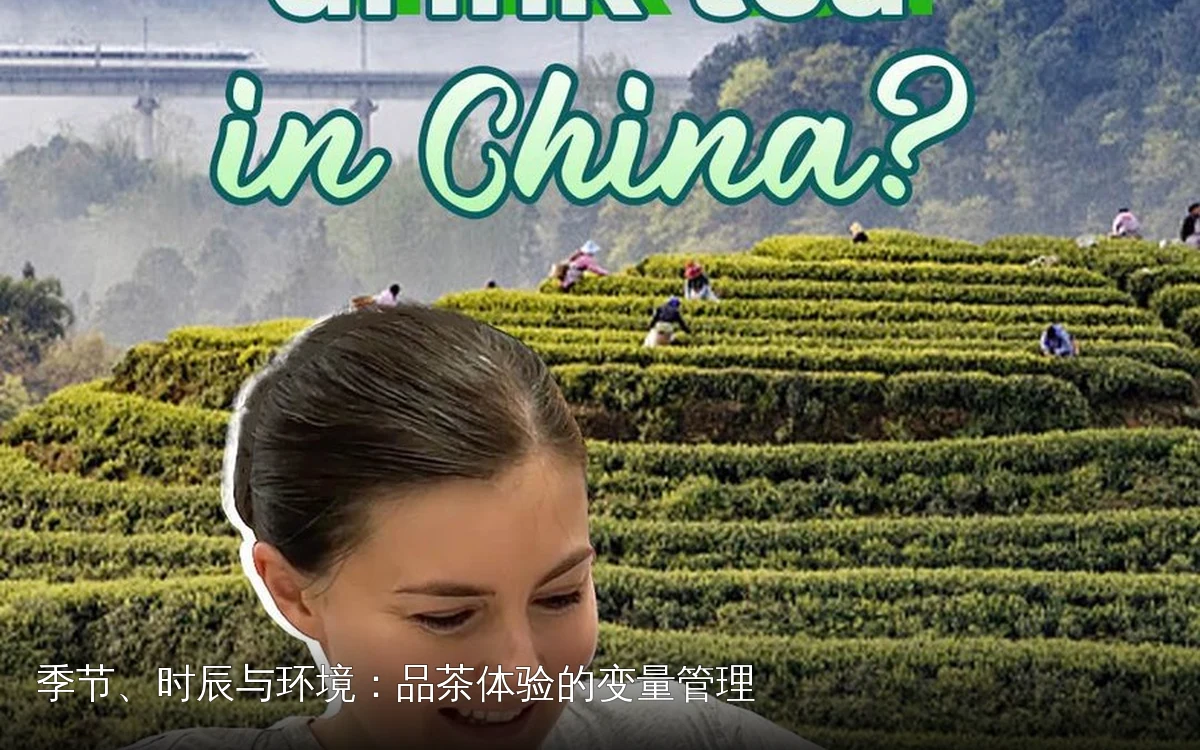 季节、时辰与环境:品茶体验的变量管理